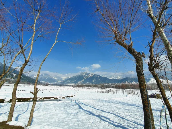Zbliżenie Obfitych Opadów Śniegu Kaszmirze Uczyniło Całą Dolinę Białą — Zdjęcie stockowe