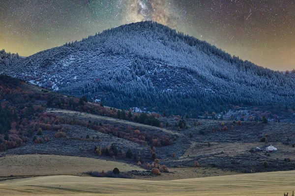Schöne Aufnahme Eines Berghangs Mit Schneebedeckten Bäumen Und Feld Vor — Stockfoto