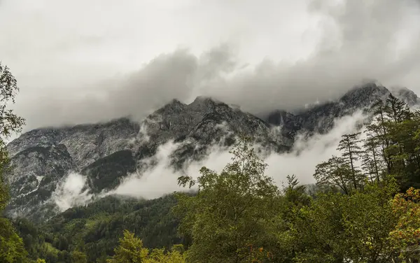 Una Hermosa Vista Del Bosque Las Montañas Escénicas Niebla —  Fotos de Stock
