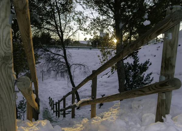 Ένα Κοντινό Πλάνο Των Ξύλινων Σκαλοπατιών Ενός Μονοπατιού Πεζοπορίας Καλυμμένο — Φωτογραφία Αρχείου