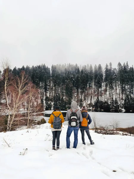 Een Overzicht Van Vrienden Trui Rugzak Sneeuw Tijdens Winter — Stockfoto