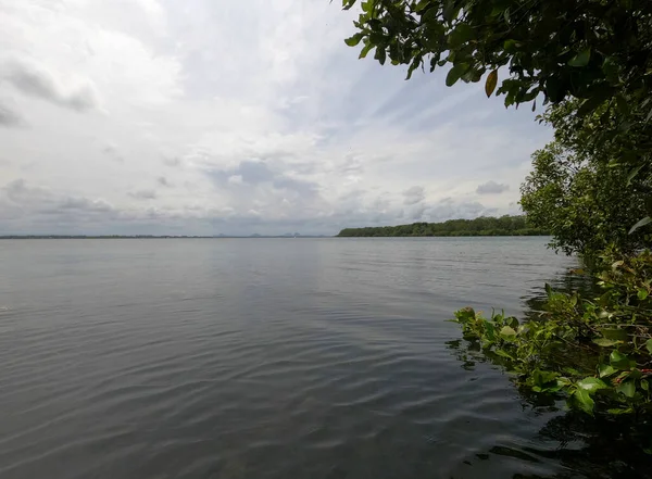 Calm Lake Surrounded Trees Cloudy Day — Stock Photo, Image