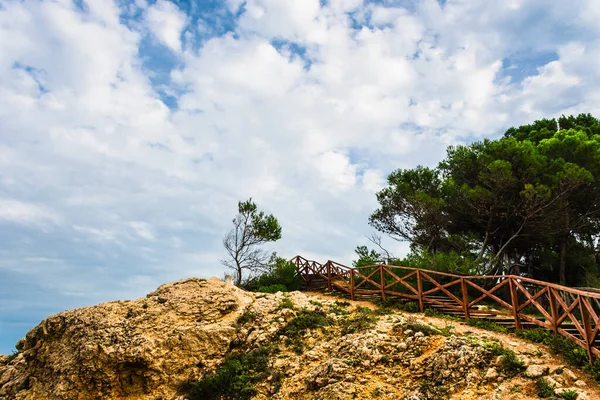 Fák Sziklán Ragyognak Felhős Alatt Sant Martin Empuries Ban — Stock Fotó