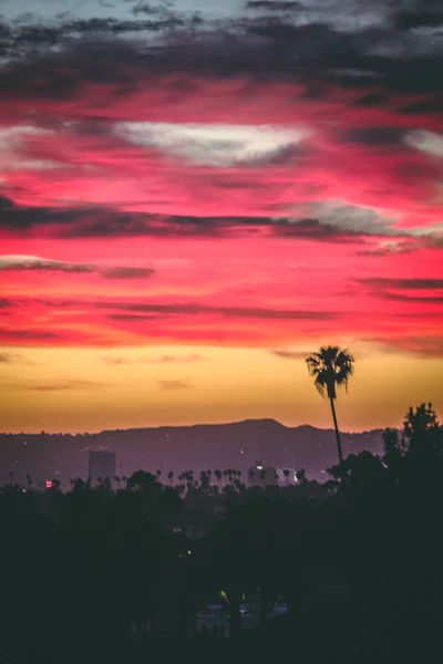 Vertical Shot Breathtaking Sunset City Pink Sky — Stock Photo, Image