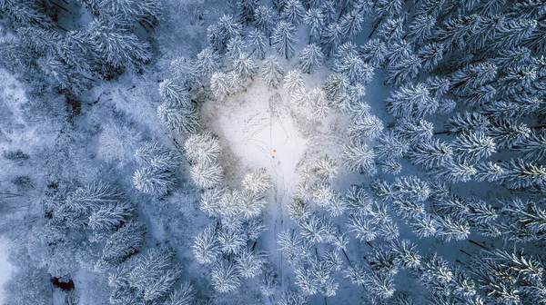 Widok Powietrza Lasu Zimie — Zdjęcie stockowe