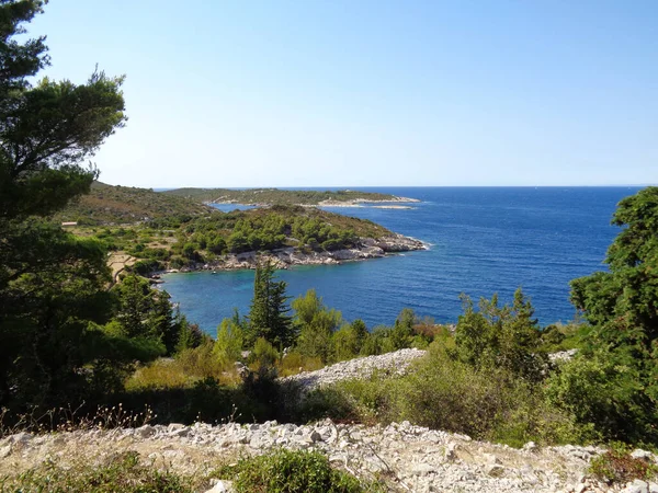 Βόρεια Ακτογραμμή Της Νήσου Vis Δαλματία Κροατία Τυπική Μεσογειακή Καρστική — Φωτογραφία Αρχείου