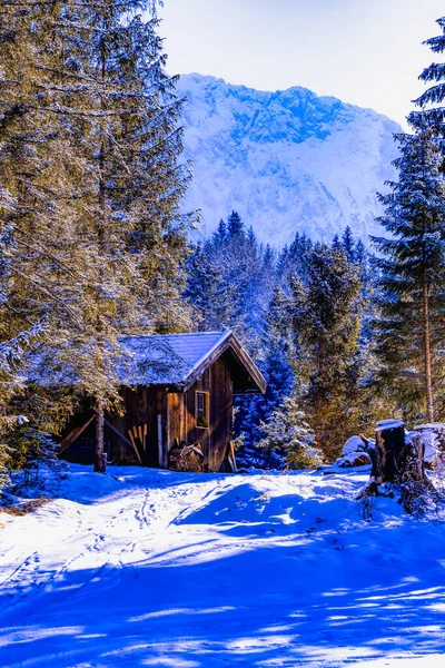 Een Verticaal Shot Van Een Van Hout Huis Een Winterachtige — Stockfoto