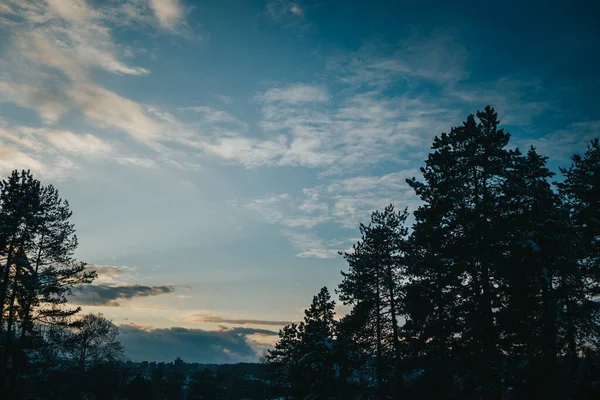 Прекрасный Снимок Яркого Вечернего Неба Над Лесом — стоковое фото