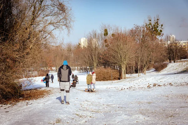 Ποζναν Πολωνια Ιανουάριος 2021 Άνθρωποι Διασκεδάζουν Έλκηθρα Στο Χιόνι Πάρκο — Φωτογραφία Αρχείου