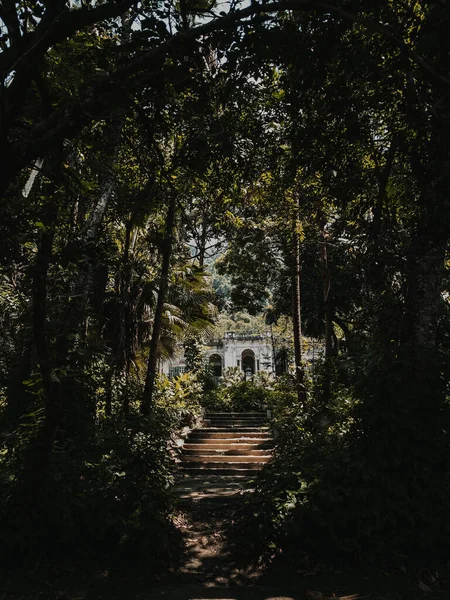 Egy Függőleges Lépcső Vezet Egy Épülethez Erdőben — Stock Fotó