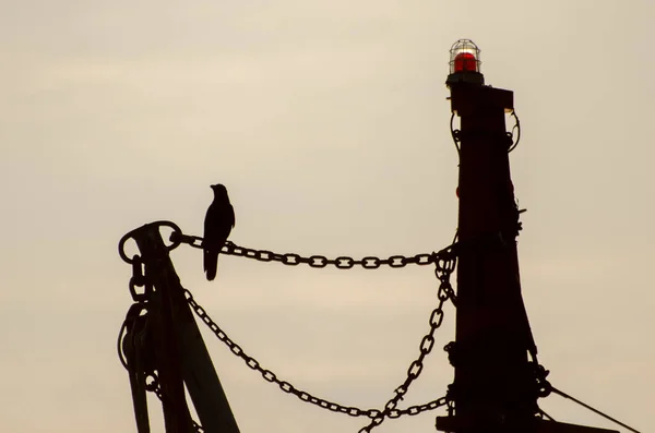 Silhouette Shot Crow Perched Hoat Chain — Stock Photo, Image