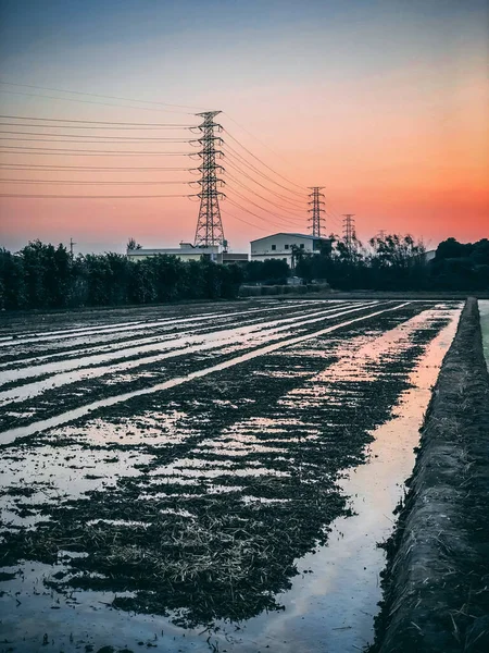 日出时拍摄到的覆盖着雪的田野中电线的垂直镜头 — 图库照片