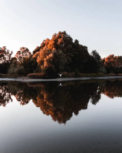 Little Human Enormous Tree Reflection — Stock Photo, Image