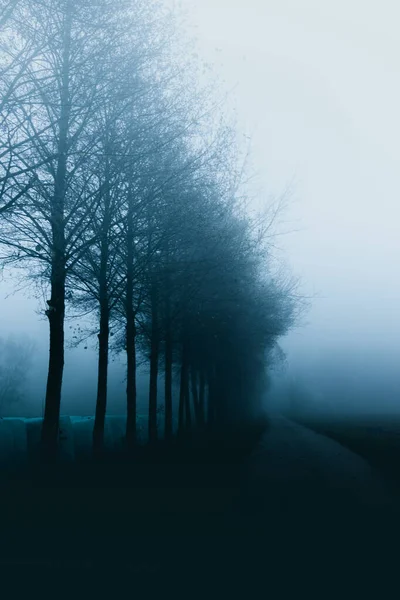Misty Blue Road Winter Fog — Stock Photo, Image