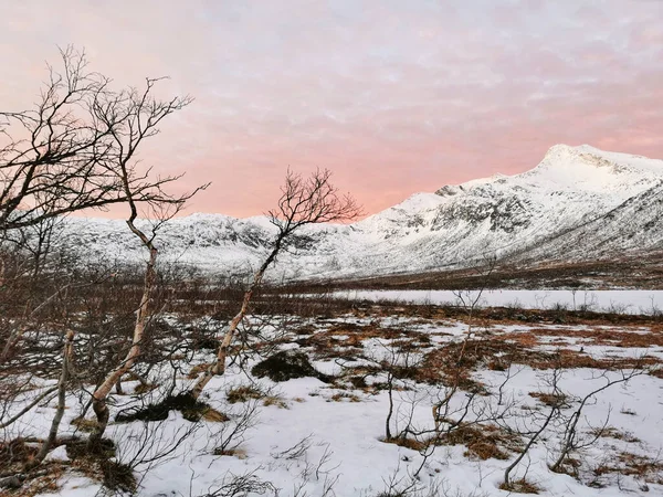 Vacker Utsikt Över Den Frusna Sjön Kattfjordvatnet Kvaloya Norge — Stockfoto