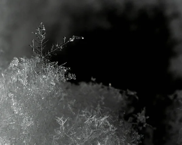 Closeup Shot White Snowflakes — Stock Photo, Image