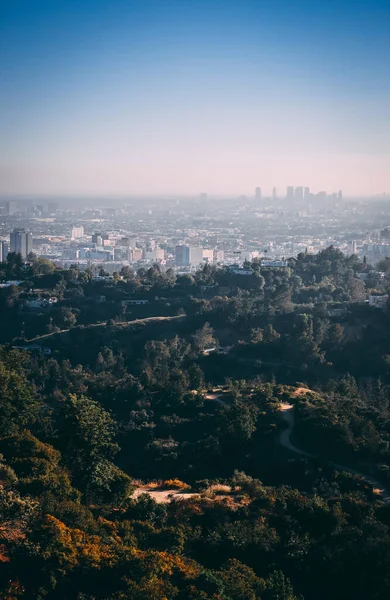 Pionowe Zdjęcie Lotnicze Pejzażu Miasta Los Angeles Uchwyconego Mglisty Dzień — Zdjęcie stockowe