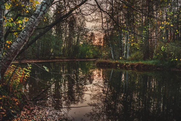 Una Hermosa Toma Lago Tranquilo Con Árboles Reflejándose Agua Parque — Foto de Stock