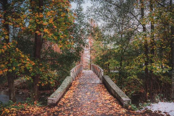 Uma Ponte Pedra Sobre Rio Parque Dia Outono — Fotografia de Stock