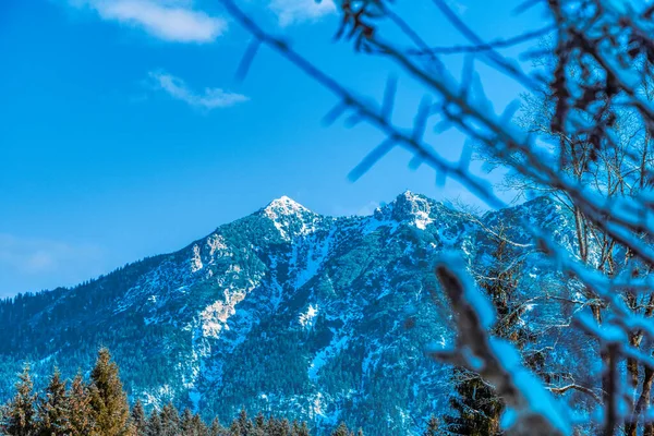 Colpo Aereo Foresta Montana Innevata — Foto Stock