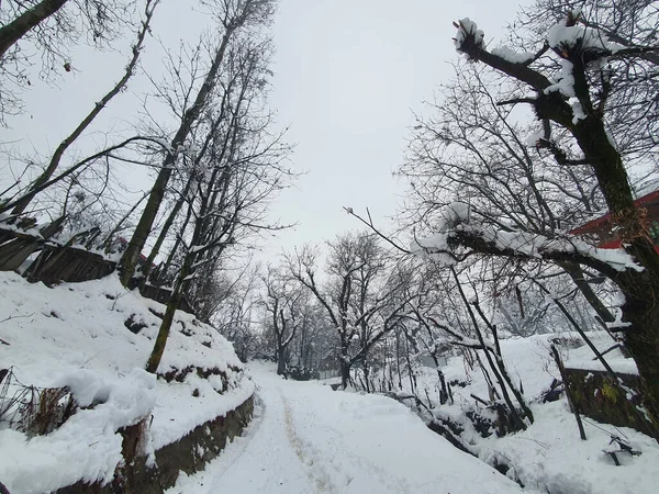 克什米尔大雪的特写使整个山谷一片白茫茫 — 图库照片