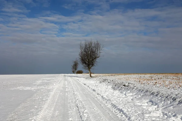 Eine Winterliche Landschaft Aus Autospuren Auf Verschneiten Feldern Unter Wolkenlosem — Stockfoto