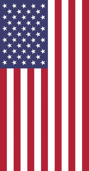 アメリカ国旗の縦のイラストアイコン — ストック写真