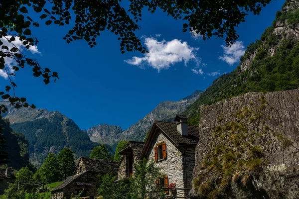 丘の中腹に木や緑のレンガ造りの家の景色 — ストック写真