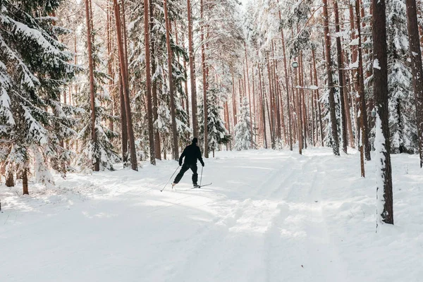 Joven Esquiando Parque Invierno — Foto de Stock
