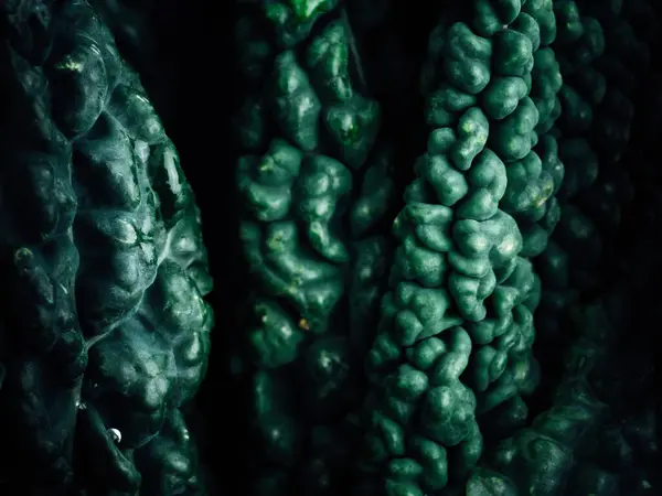 Крупним Планом Художній Знімок Свіжого Яскраво Зеленого Листя Капусти — стокове фото