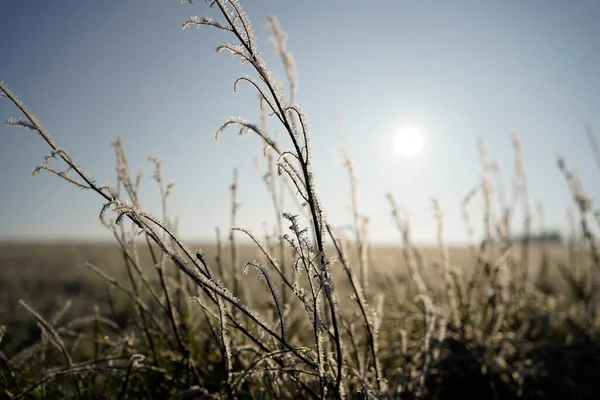 Piękne Ujęcie Zamarzniętego Krajobrazu Naturalnego — Zdjęcie stockowe