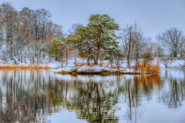 Sjö Vinterskog — Stockfoto