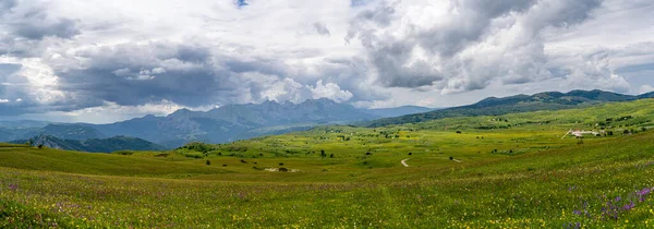Krásný Záběr Zelené Pastviny Pod Jasnou Oblohou — Stock fotografie