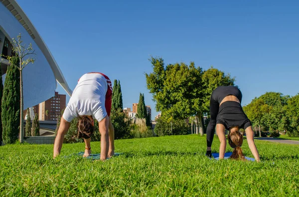Foto Hombre Mujer Pareja Gimnastas Practicando Yoga Parque Green Grass — Foto de Stock