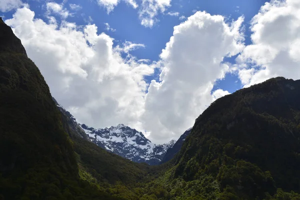 Ett Landskap Skog Kullar Och Ett Snöigt Berg Molnig Dag — Stockfoto