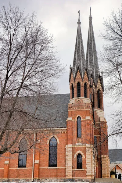 阴天的天主教教堂和枯树的垂直照片 — 图库照片