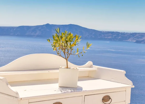 Вибірковий Фокус Знімку Рослини Білої Лавки Березі Моря Санторіні Греція — стокове фото
