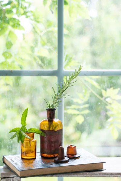 Vertikal Bild Glasvaser Med Växter Framför Glasdörr — Stockfoto