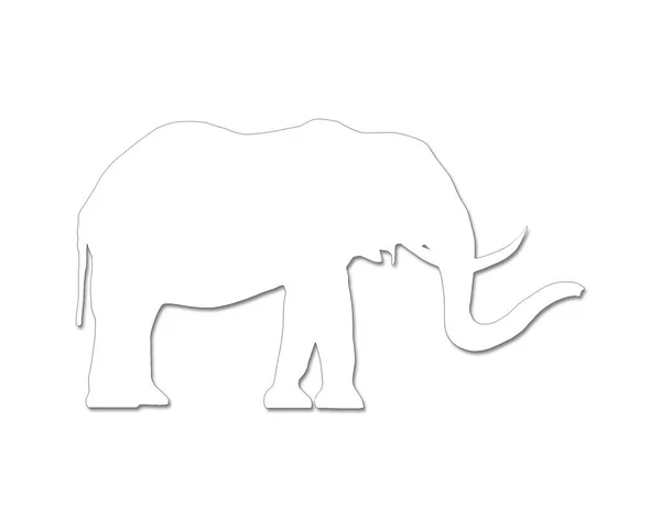 白色背景上孤立在白色背景中的大象的图片 — 图库照片