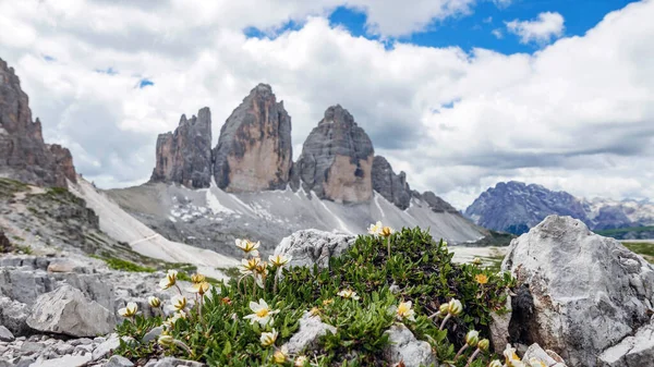 晴れた日に撮影された草で覆われた牧草地による息をのむような山の峰 — ストック写真