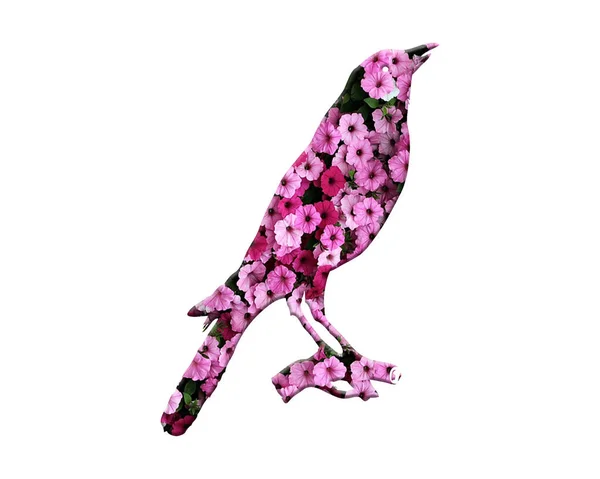 Illustration Oiseau Chanteur Motif Floral Sur Fond Blanc — Photo