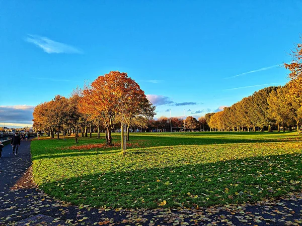 Mejor Momento Para Disfrutar Tomando Fotos Naturaleza Otoño Para Ver — Foto de Stock