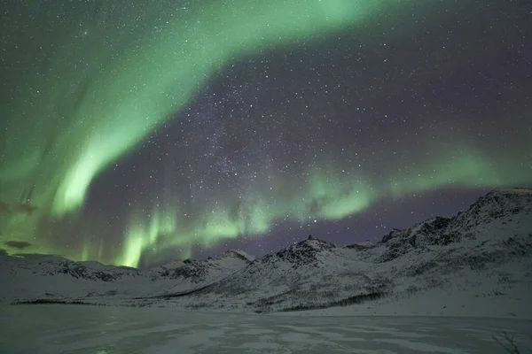 挪威特罗姆瑟美丽的明亮的绿色北极光 — 图库照片