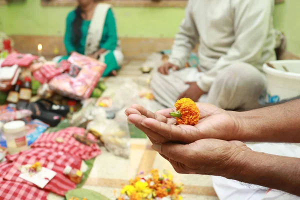 Närbild Person Som Håller Ringblomma Handflatan Indisk Ceremoni — Stockfoto