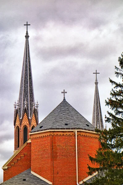 阴天的天主教教堂和云杉的垂直照片 — 图库照片