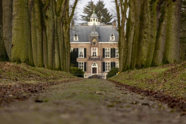 Vorden Nederland Jan 2021 Laag Aan Kasseistrook Geflankeerd Door Bomen — Stockfoto