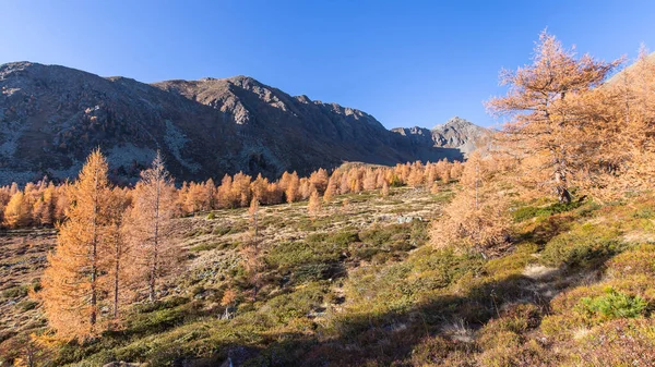 Impressão Outono Das Montanhas Austríacas Dia Ensolarado Bonito — Fotografia de Stock