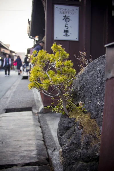 日本の高山の街の盆栽の眺め — ストック写真