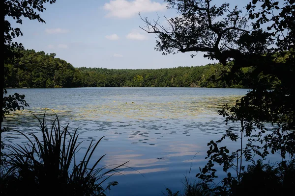 Utsikt Över Sjö Nära Schlaubetals Dal Brandenburg Tyskland — Stockfoto