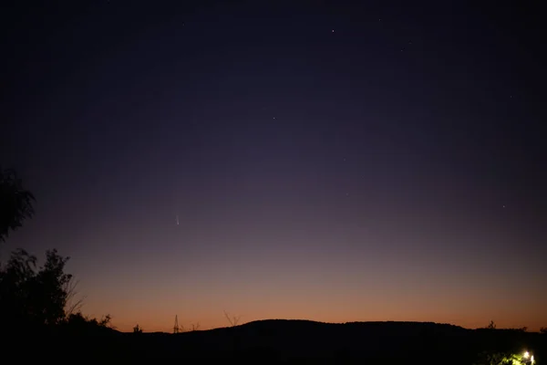 Bel Cielo Notturno Sulle Silhouette Degli Alberi — Foto Stock